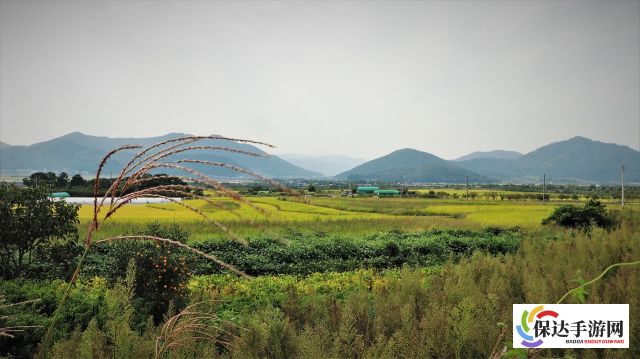 蔚蓝档案：探寻科技与人文交融之地，解读碧空梦幻的纪实之美